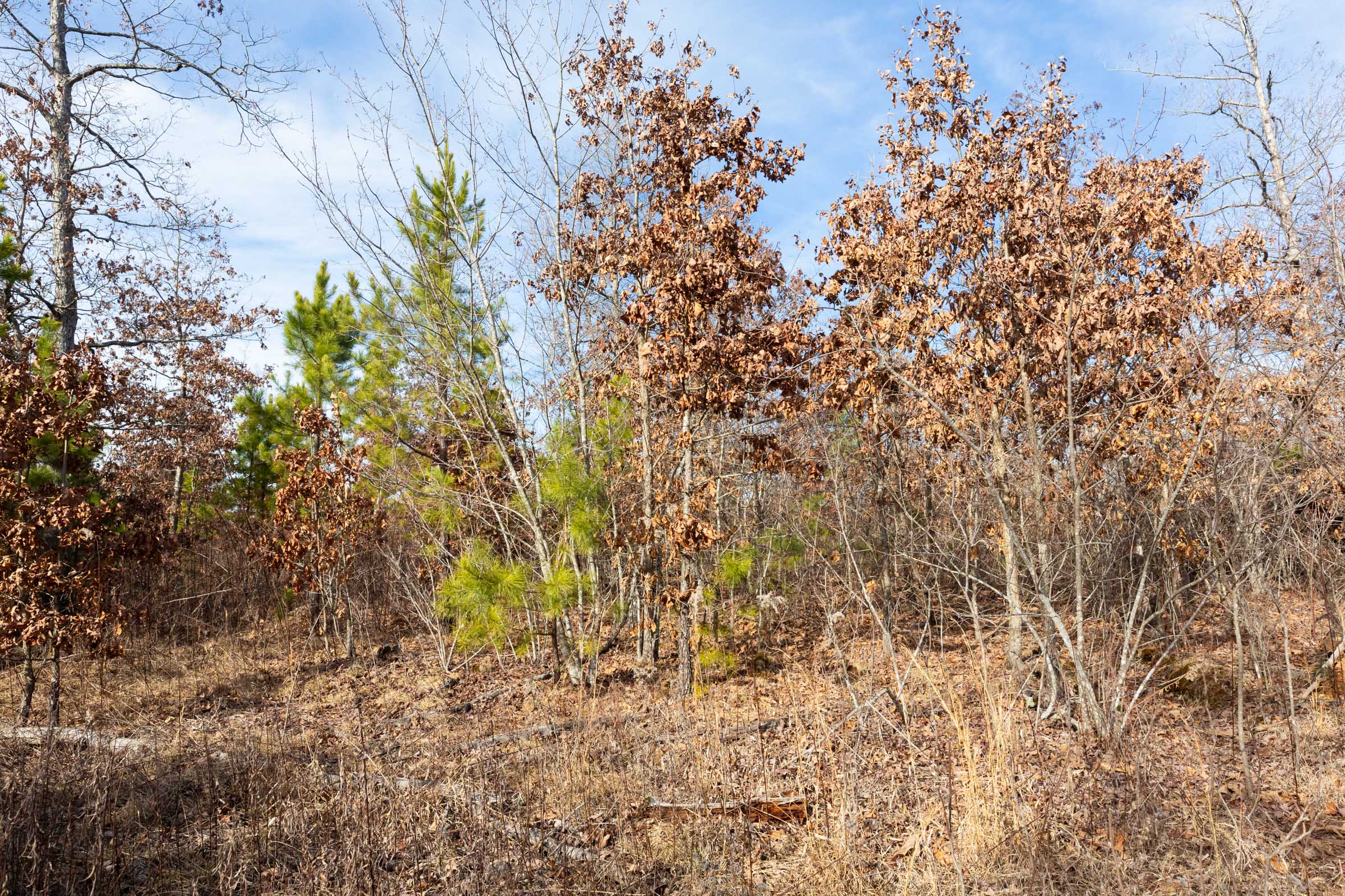 Tract 1 at Windy Ridge in Texas County, Missouri