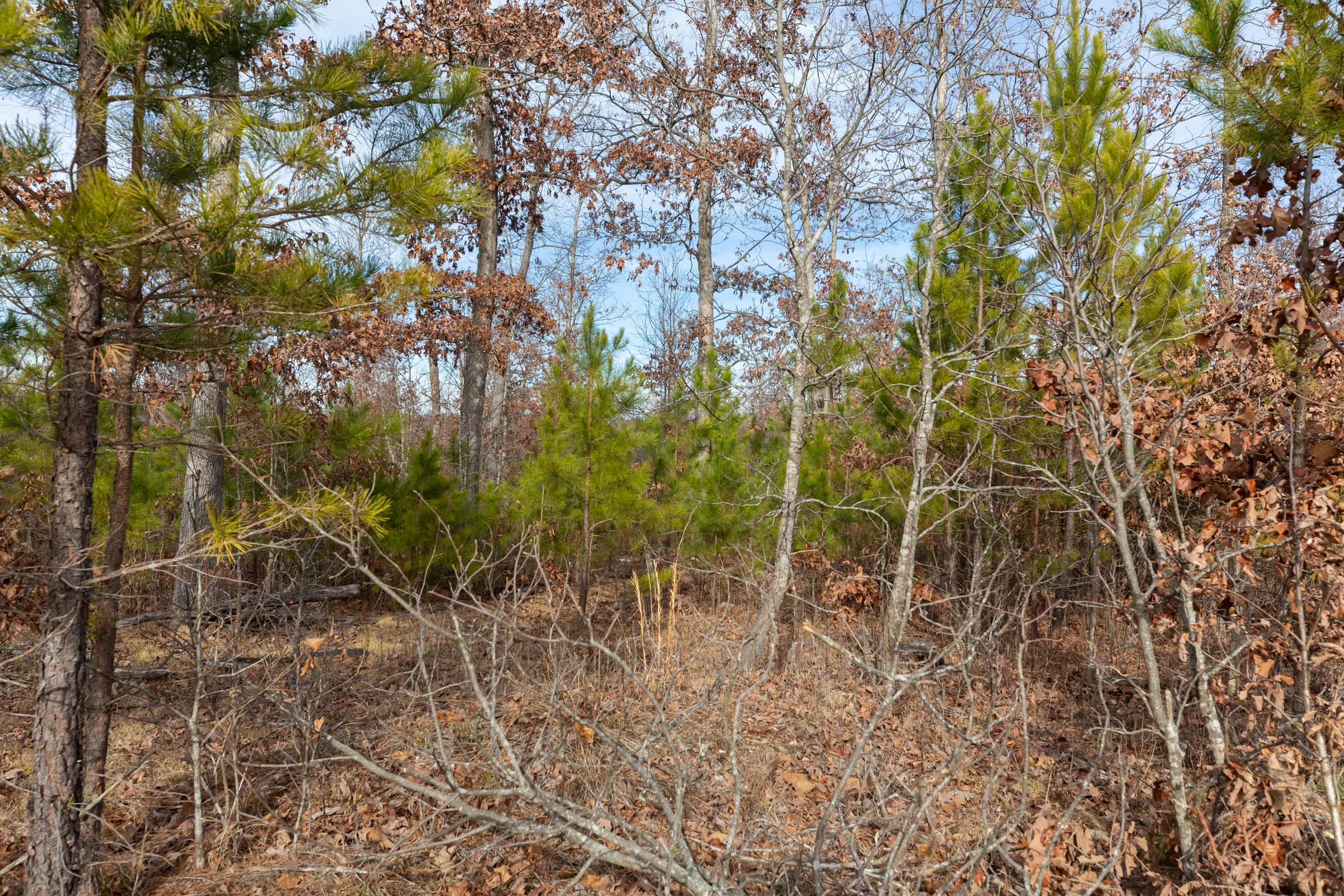 Tract 3 at Windy Ridge in Texas County, Missouri