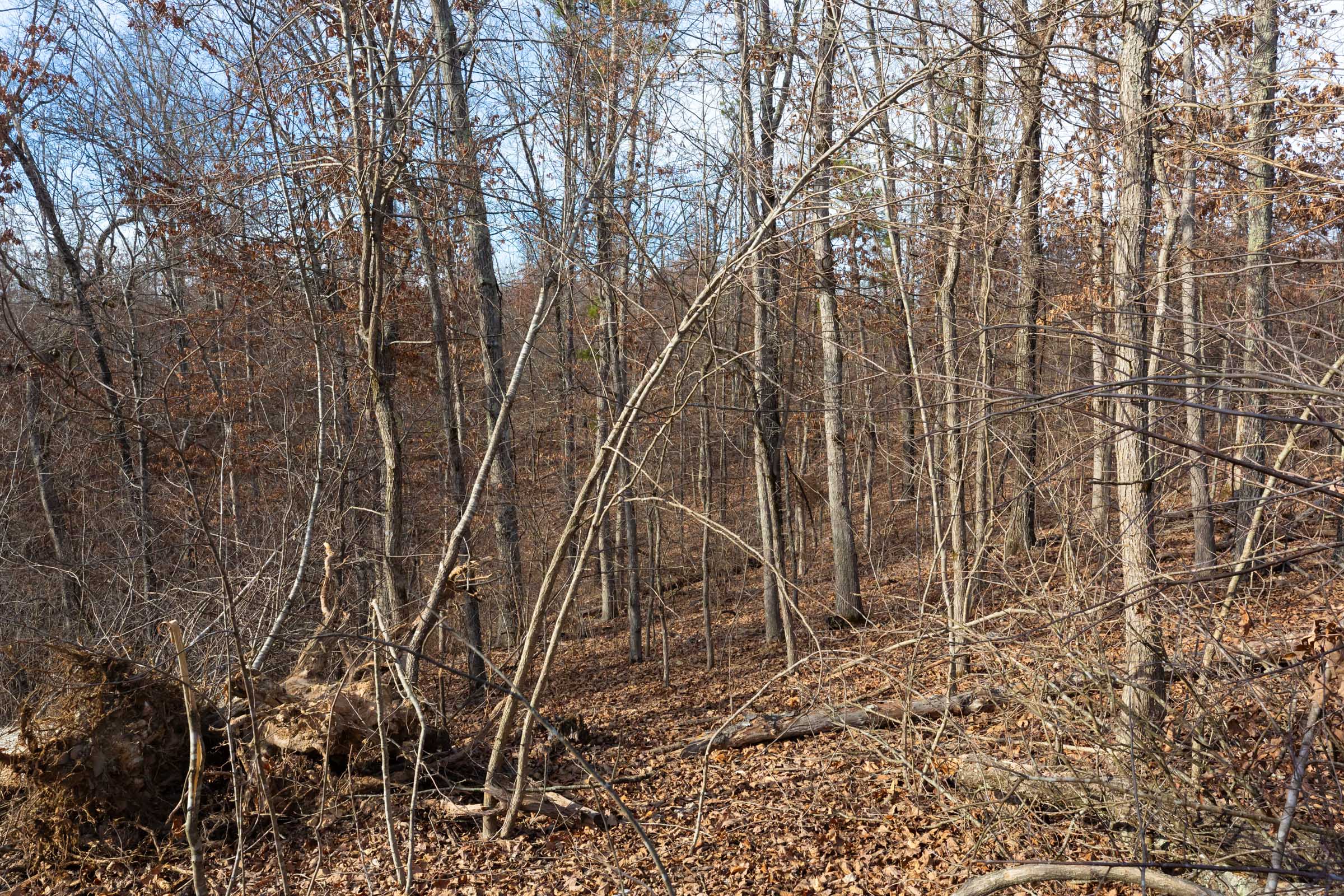 Tract 7 at Windy Ridge in Texas County, Missouri